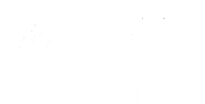 Avalon larp studio